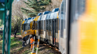 Mindestens 18 Menschen bei Kollision zweier Z&uuml;ge in D&auml;nemark verletzt