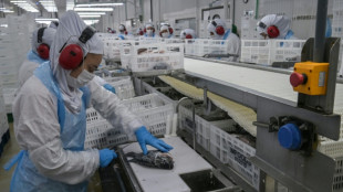 Desemprego se mant&eacute;m no m&iacute;nimo hist&oacute;rico no Brasil