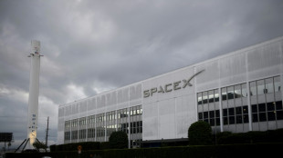 Musk trasladar&aacute; empresas fuera de California por la ley transg&eacute;nero