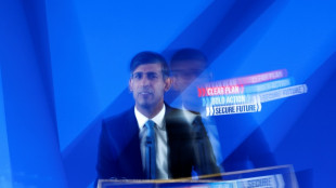 Primeiro-ministro conservador brit&acirc;nico promete cortes de impostos em programa eleitoral