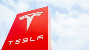 Musk finalmente mostrar&aacute; el prometido robotaxi de Tesla