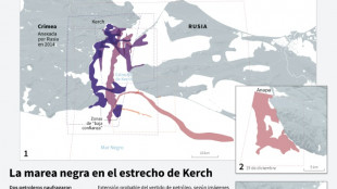 La marea negra entre Rusia y Crimea sigue extendi&eacute;ndose