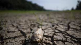 Brasile, El Nino divide il Paese tra piogge record e forte siccit&agrave;