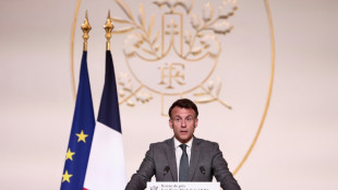 Macron ruft zum vorläufigen Verzicht auf Investitionen in den USA auf