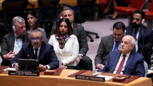 El sistema de salud de Gaza est&aacute; "de rodillas", alerta jefe de la OMS