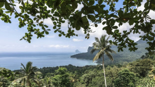 Cash for nature protection: hotelier's offer to Principe islanders