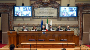 Cnel, 630mila giovani via dall'Italia tra 2011 e 2024