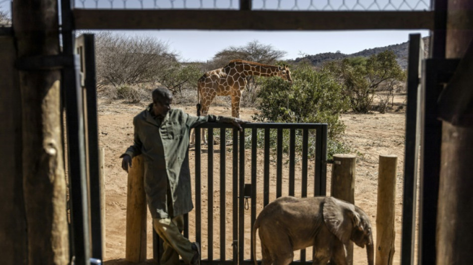 EEUU apoyar&aacute; fondo para promover safaris ecol&oacute;gicos en &Aacute;frica 