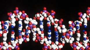 Dal Dna ambientale la scoperta di un nuovo abitante del Mediterraneo