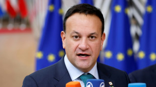 Irlanda organizar&aacute; dos referendos sobre igualdad de g&eacute;nero el 8 de marzo