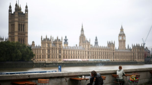 El Parlamento brit&aacute;nico examinar&aacute; en octubre un proyecto de ley sobre el suicidio asistido