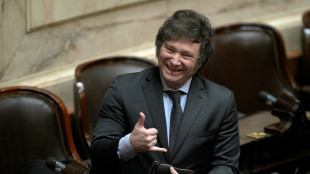 Milei: &iquest;un giro hacia el pragmatismo para presidir Argentina?