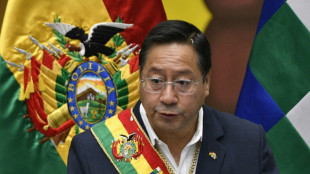 Interesados en litio boliviano deber&aacute;n aceptar participaci&oacute;n del Estado, dice presidente Arce