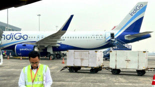 La aerol&iacute;nea india IndiGo encargar&aacute; en firme a Airbus treinta A350-500