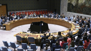 Incursion d'avions russes en Estonie: le Conseil de sécurité de l'ONU se réunit en urgence lundi