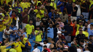 Copa: Darwin Nunez in Schl&auml;gerei mit Fans verwickelt