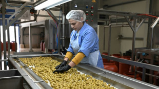 Las aceitunas escasean cada vez m&aacute;s en Grecia, donde ya "no hay invierno"