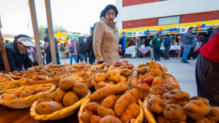 Los peruanos celebran el primer "D&iacute;a de la papa" homenajeando a su principal alimento