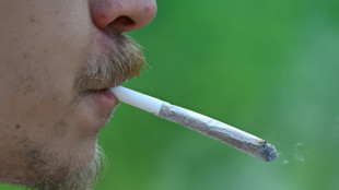 Cannabisverbot in Englischem Garten in München ist rechtswidrig - Kiffen erlaubt