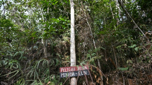 Colombie : la gu&eacute;rilla de l'ELN annonce la reprise des enl&egrave;vements