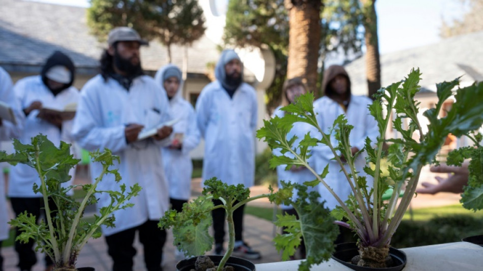 Una academia del cannabis apuesta por el desarrollo del sector en Sud&aacute;frica