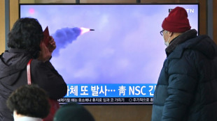 Corea del Norte realiza disparos desde lanzacohetes, seg&uacute;n Se&uacute;l