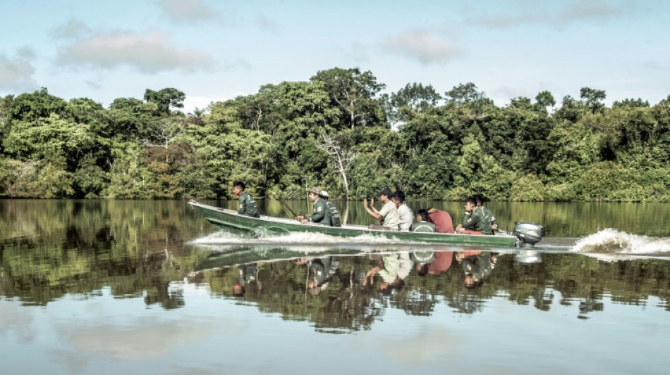En Amazonie, la lutte des "guerriers de la for&ecirc;t" pour la Vall&eacute;e du Javari