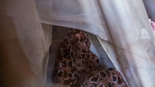 "La sangre seguía corriendo": el testimonio de los sobrevivientes de la masacre de El Fasher, en Sudán