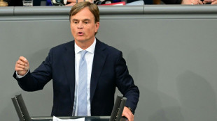 AfD warnt Union vor Wahl der Juristin Kaufhold ans Verfassungsgericht