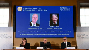 El Nobel de F&iacute;sica premia los avances en las redes neurol&oacute;gicas artificiales  y modelos ling&uuml;&iacute;sticos