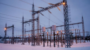 Los pa&iacute;ses b&aacute;lticos se conectan con &eacute;xito a la red el&eacute;ctrica europea