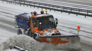 Baden-W&uuml;rttemberg: 86-J&auml;hriger stirbt nach Unfall mit Schneepflug