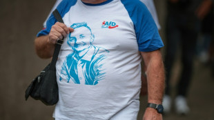 En Saxe-Anhalt, l'extr&ecirc;me droite allemande aux portes du pouvoir
