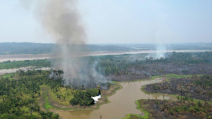 L'Amazonie br&ucirc;le &agrave; la "nouvelle fronti&egrave;re de la d&eacute;forestation"