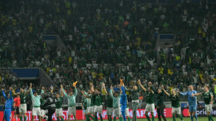 A ressurreição do Palmeiras, um gigante da Libertadores