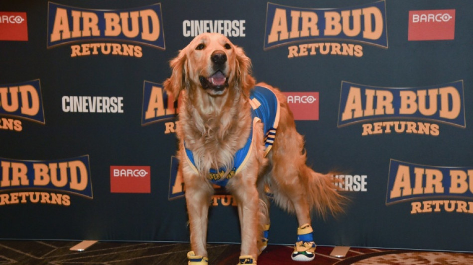 Who's a good boy? AI can't replace doggie actors, director says