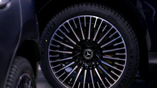 El mercado automovil&iacute;stico alem&aacute;n continu&oacute; su contracci&oacute;n en mayo