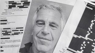 Nyt, dipartimento Giustizia ha censurato accuse a Trump dai file Epstein