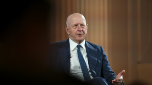 Big US banks report strong earnings and stay bullish on AI
