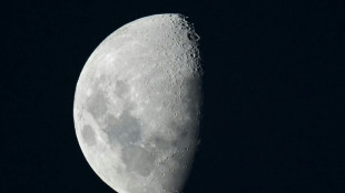 Ministerin B&auml;r: Deutscher Astronaut wird als erster Europ&auml;er zum Mond fliegen 