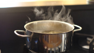 In lieve rialzo l'indice italiano del prezzo del gas