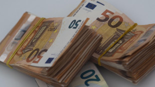 Commercialisti, -2,9% fatturato di societ&agrave; di capitali nel 2024