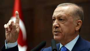 Erdogan: Schweden und Finnland m&uuml;ssen Unterst&uuml;tzung von "Terrorgruppen" beenden