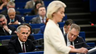 EU chief pitches 'associate member' status for Canada