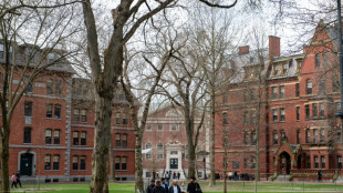 El antisemistismo y la arabofobia, males enraizados en Harvard, seg&uacute;n unos informes