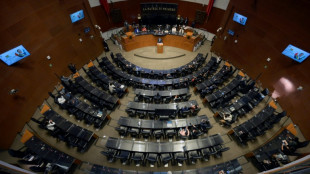 El Senado de M&eacute;xico aprueba una pol&eacute;mica reforma del sistema de  pensiones