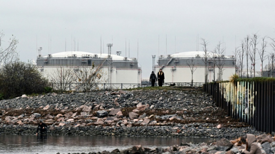 Los ingresos de Rusia por venta de petr&oacute;leo y gas caen a un m&iacute;nimo en cinco a&ntilde;os