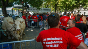 L'UE met l'accord avec le Mercosur sur la table, suspense à Paris