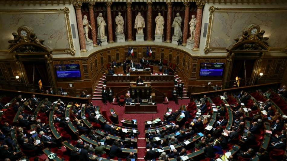 Budget: le S&eacute;nat valide la surtaxe sur les grandes entreprises et une taxe concernant CMA CGM