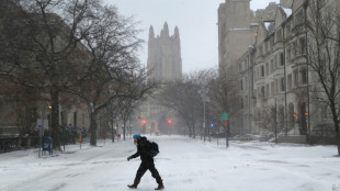 El gobierno de EEUU acusa a Yale de discriminar a estudiantes blancos y asi&aacute;ticos